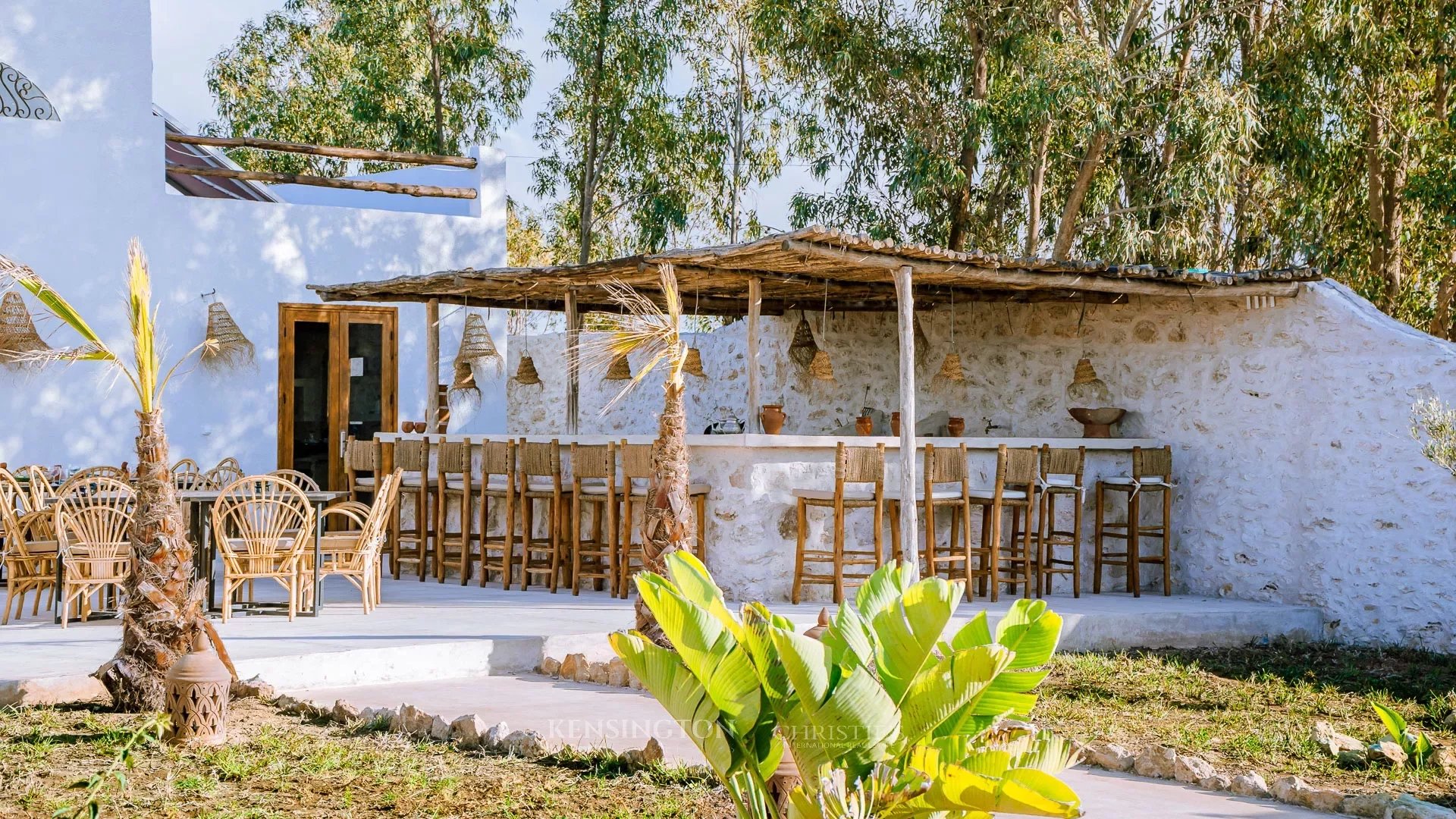 Dar Oasis in Essaouira, Morocco