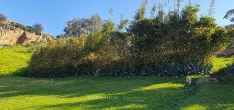 LAND MILA in Tangier, Morocco