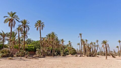 Land Damascus in Marrakech, Morocco