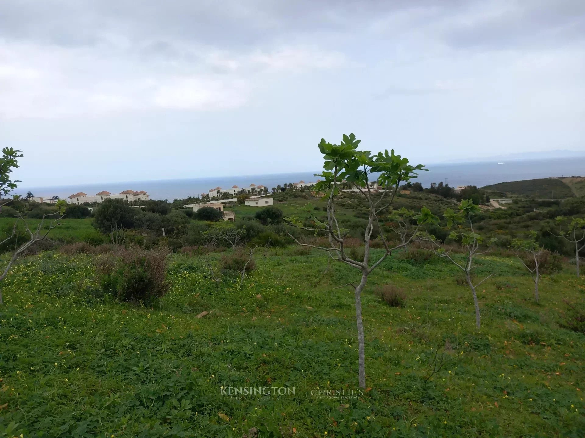 Land Valley in Tanger, Morocco