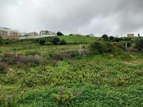 Land Valley in Tanger, Morocco