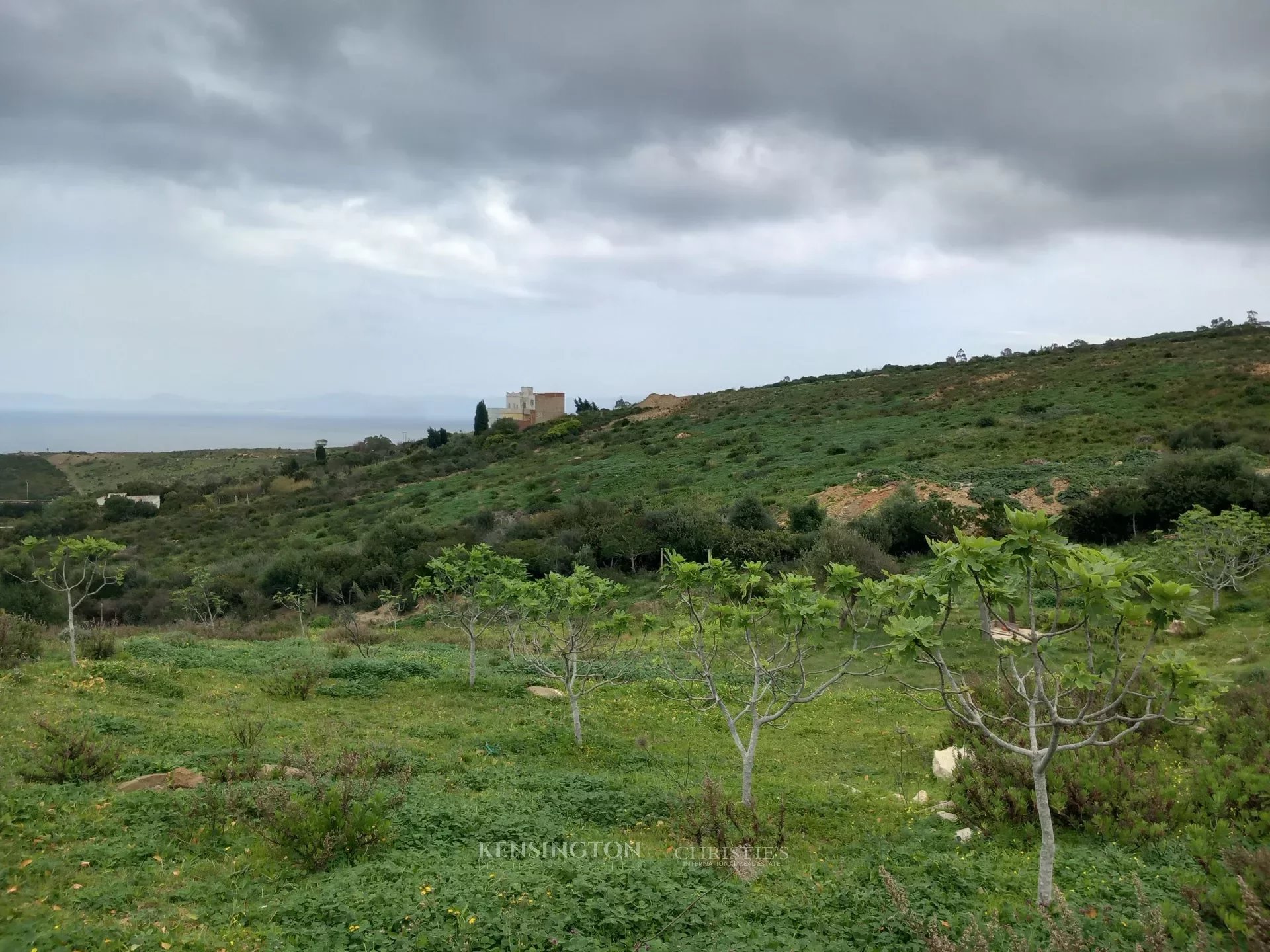 Land Valley in Tanger, Morocco