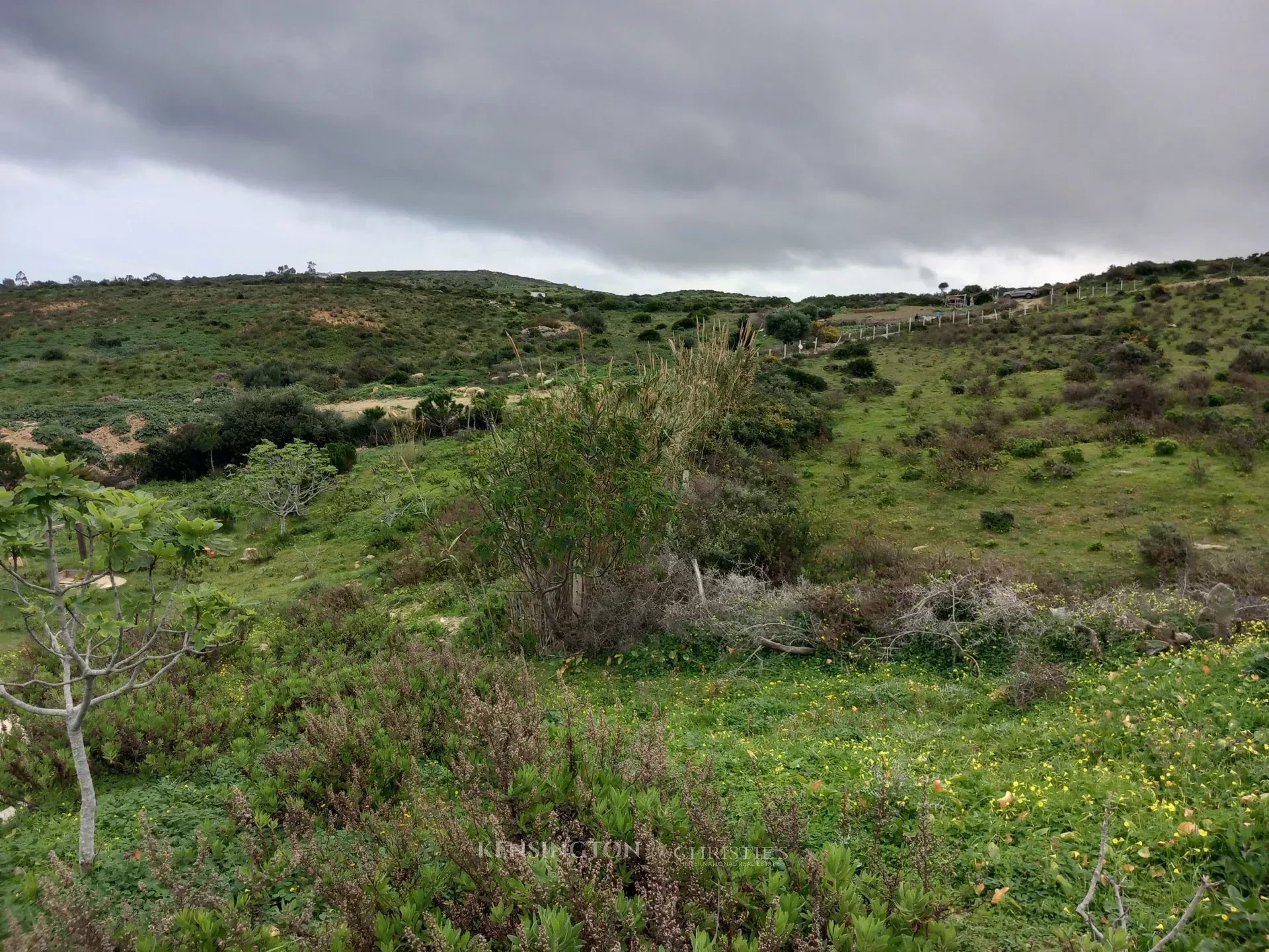 Land Valley in Tanger, Morocco