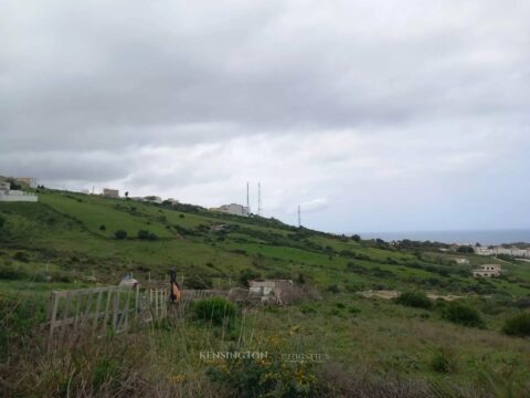 Land Valley in Tanger, Morocco