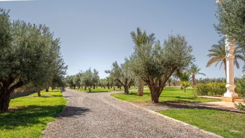 Palais Atlassa OFM in Marrakech, Morocco