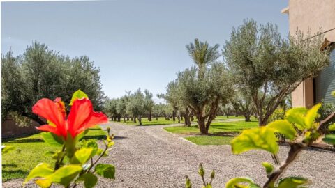Palais Atlassa OFM in Marrakech, Morocco