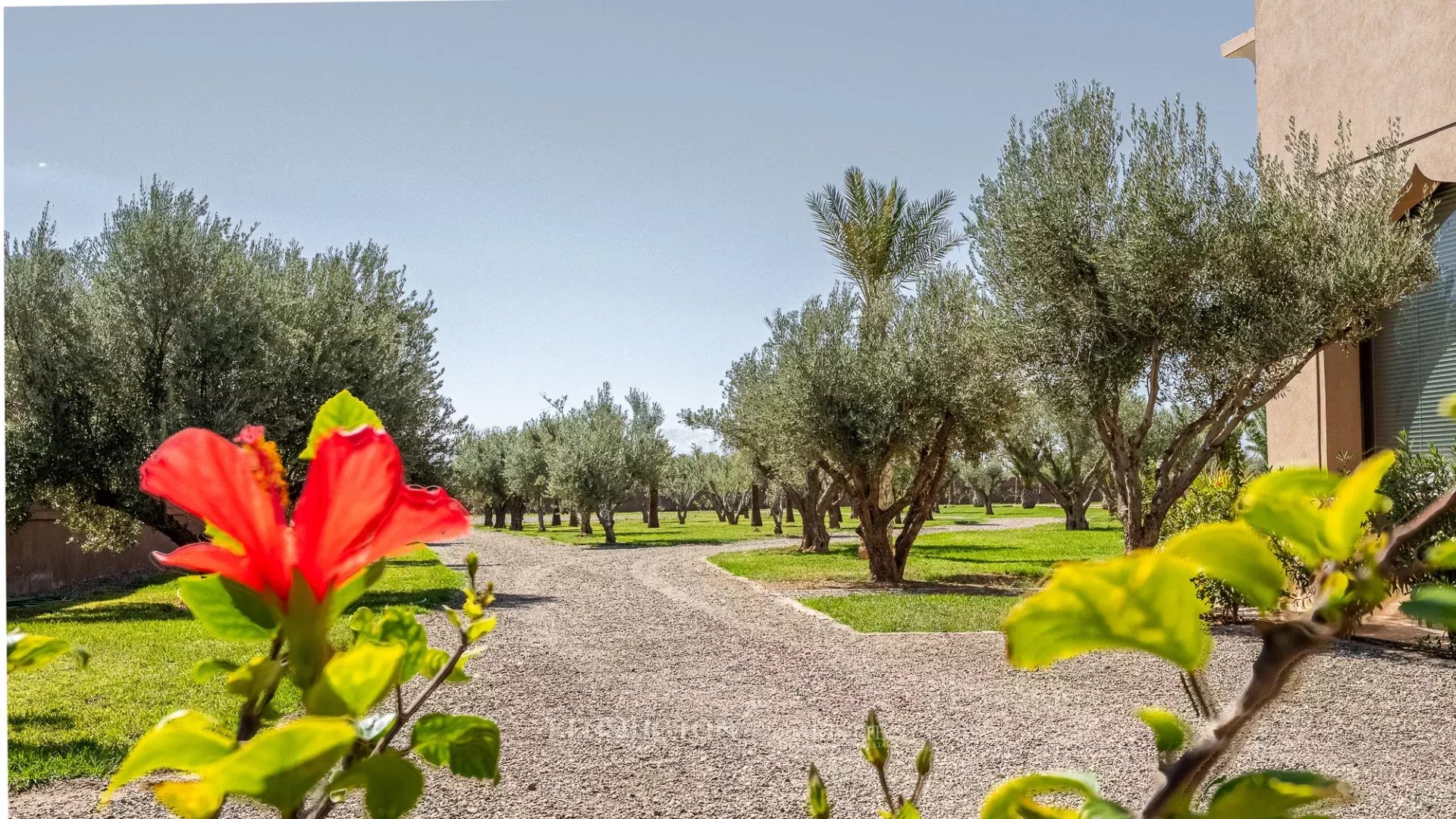 Palais Atlassa OFM in Marrakech, Morocco