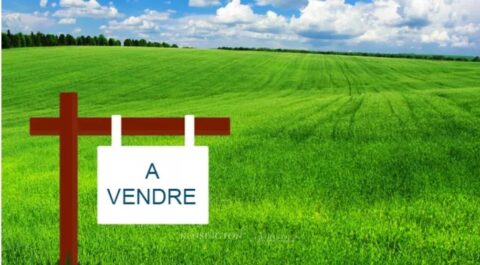 Plots Californie in Casablanca, Morocco