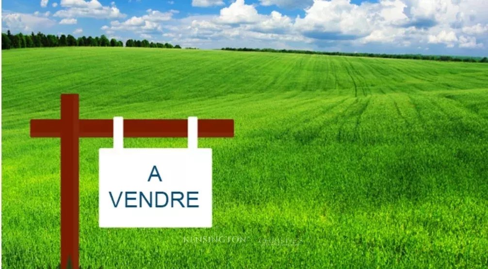 Plots Californie in Casablanca, Morocco