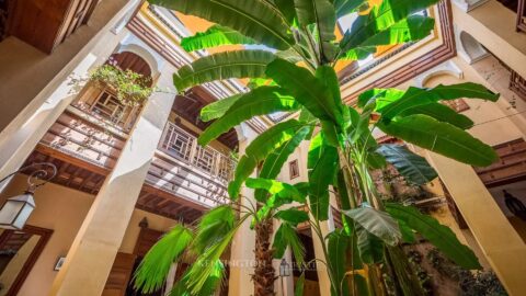 Riad Damanos in Marrakech, Morocco