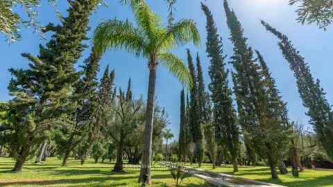 Romeo Palace in Marrakech, Morocco