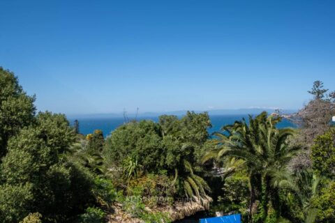Algerian Villa in Tangier, Morocco