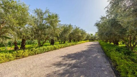 Villa Amios in Marrakech, Morocco