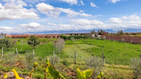 Villa Faratisum in Marrakech, Morocco