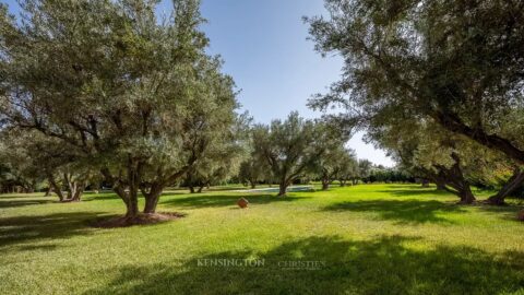 Villa Garden in Marrakech, Morocco