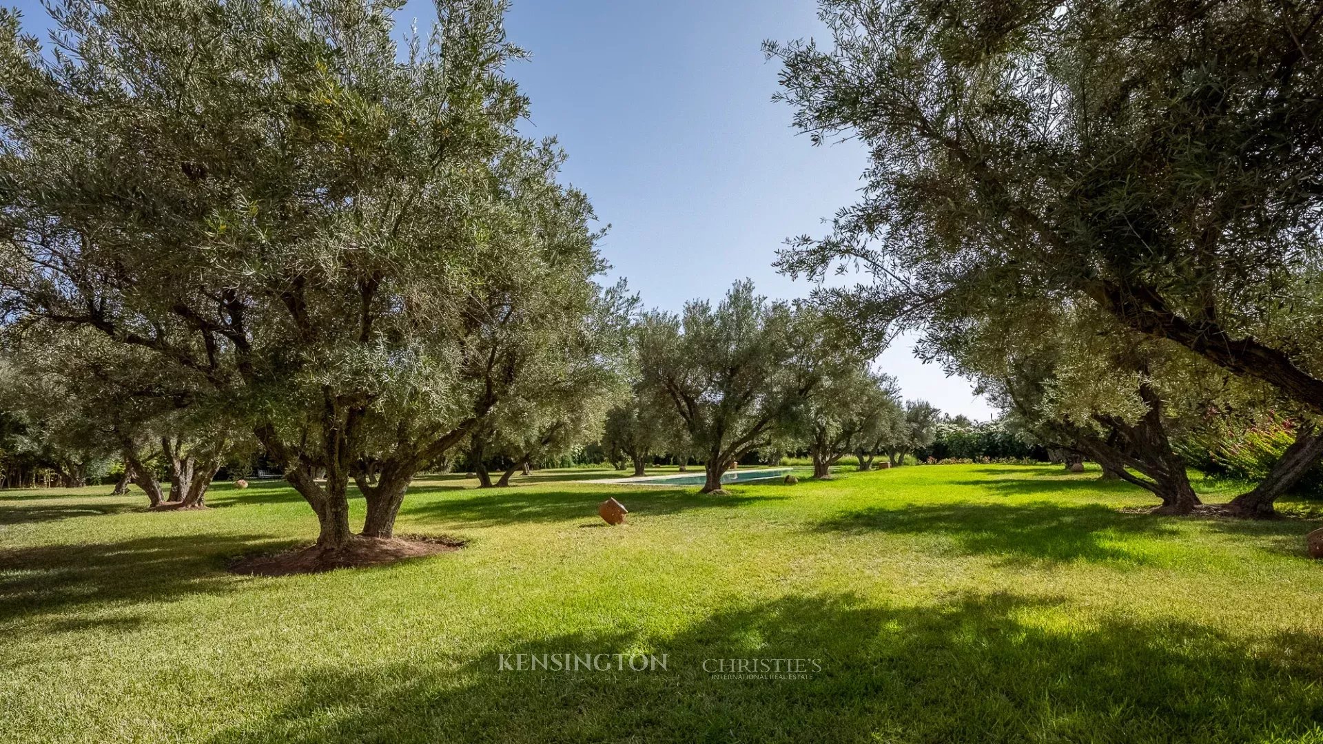 Villa Garden in Marrakech, Morocco