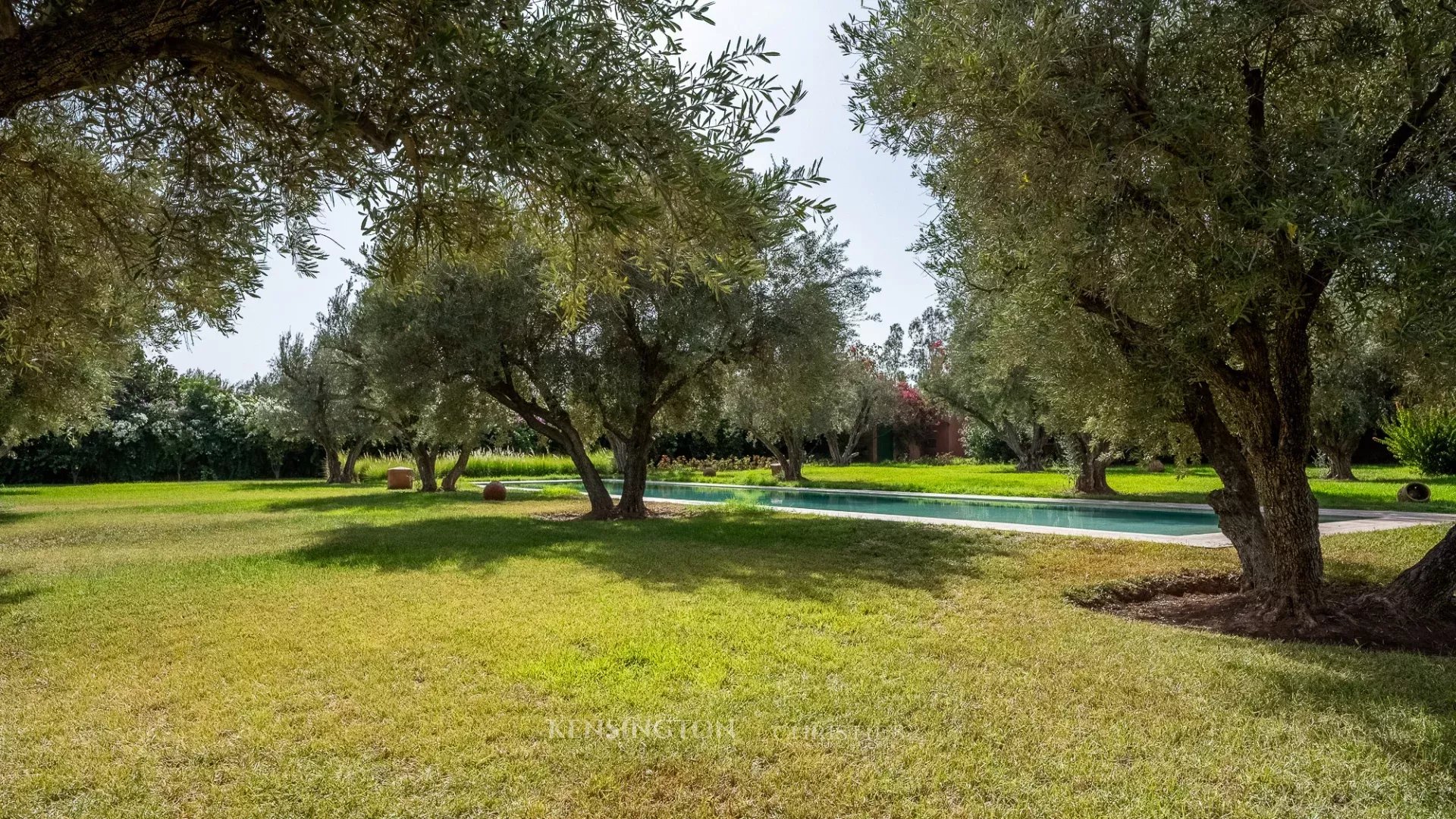 Villa Garden in Marrakech, Morocco