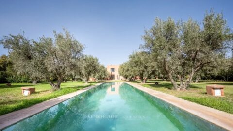 Villa Garden in Marrakech, Morocco
