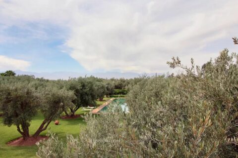 Villa Garden in Marrakech, Morocco