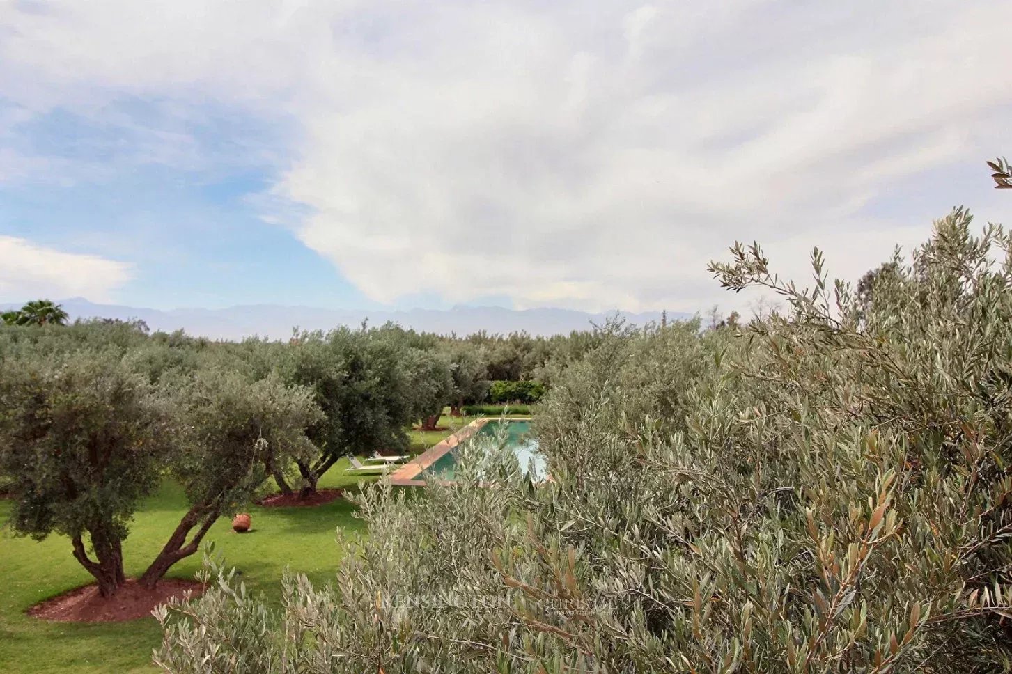 Villa Garden in Marrakech, Morocco
