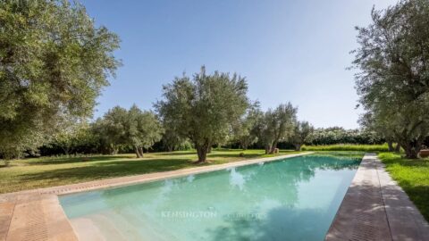 Villa Garden in Marrakech, Morocco