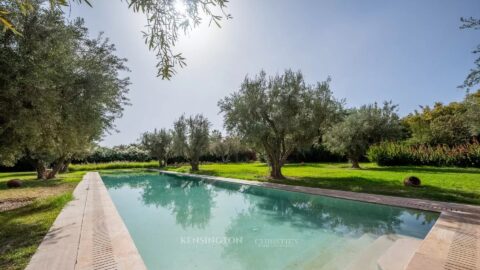 Villa Garden in Marrakech, Morocco