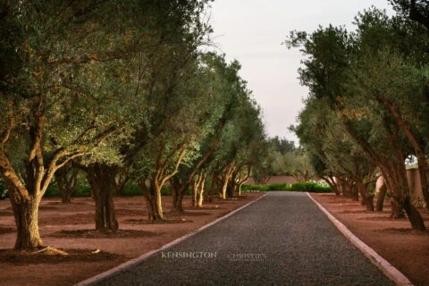 Villa Jonatos in Marrakech, Morocco