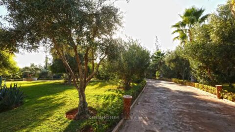 Villa Nad in Marrakech, Morocco