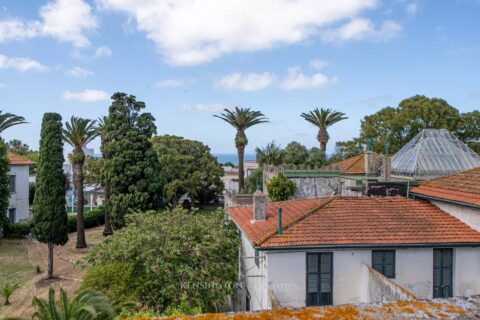 Villa Nikka in Tanger, Morocco