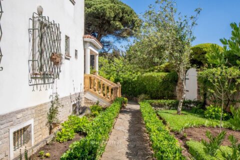 Villa Pine Breeze in Tanger, Morocco