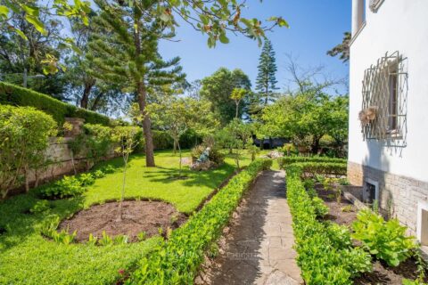 Villa Pine Breeze in Tanger, Morocco