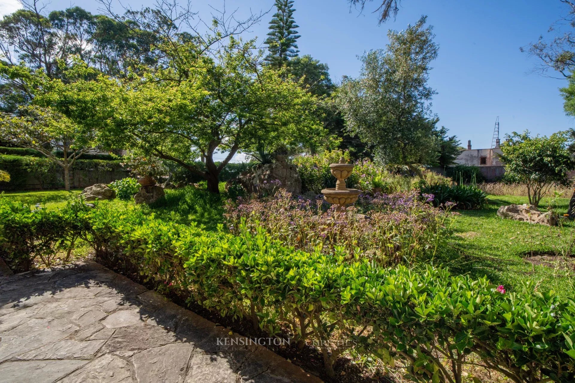 Villa Pine Breeze in Tanger, Morocco