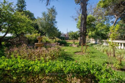 Villa Pine Breeze in Tanger, Morocco