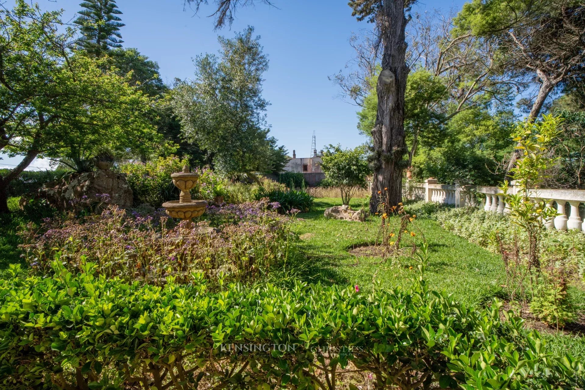 Villa Pine Breeze in Tanger, Morocco