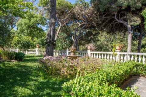 Villa Pine Breeze in Tanger, Morocco
