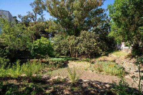 Villa Pine Breeze in Tanger, Morocco