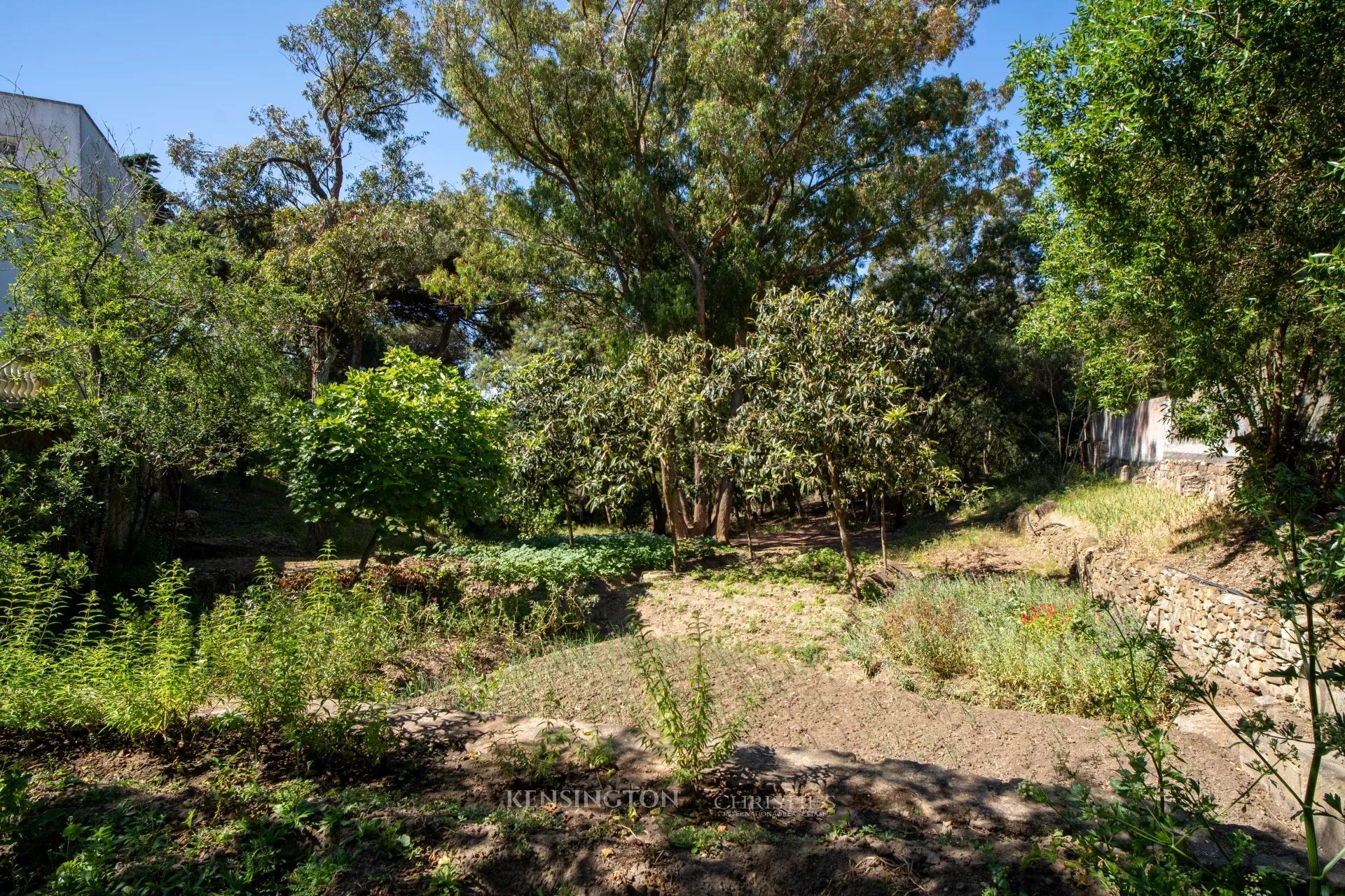 Villa Pine Breeze in Tanger, Morocco