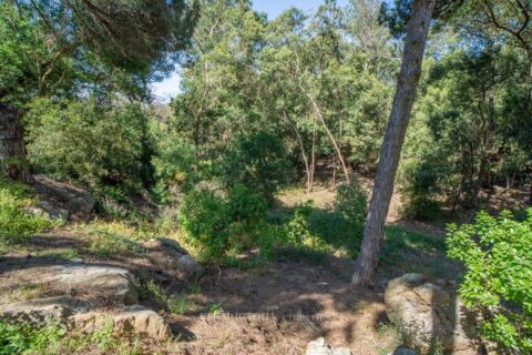 Villa Pine Breeze in Tanger, Morocco