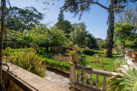 Villa Pine Breeze in Tanger, Morocco