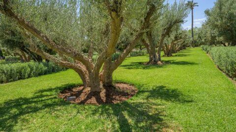 Villa Tara in Marrakech, Morocco