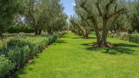 Villa Tara in Marrakech, Morocco