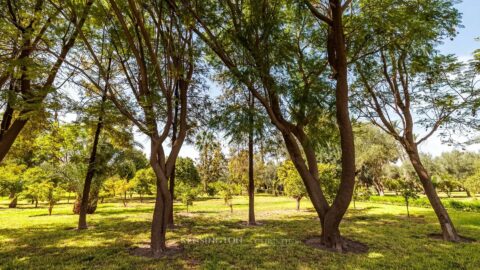 Villa Wind in Marrakech, Morocco