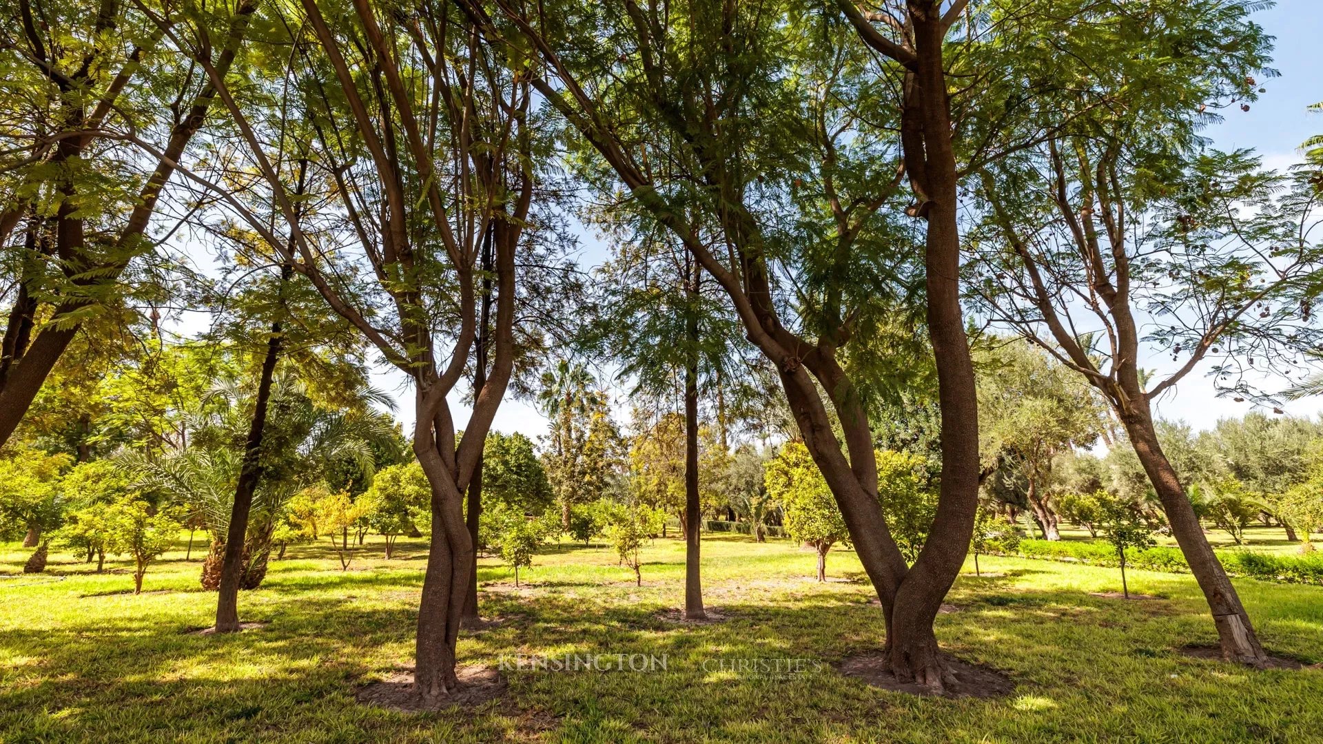 Villa Wind in Marrakech, Morocco