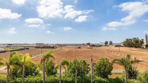 كاليستا in Casablanca, Morocco