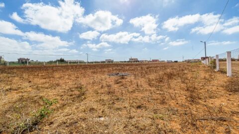 كاليستا in Casablanca, Morocco